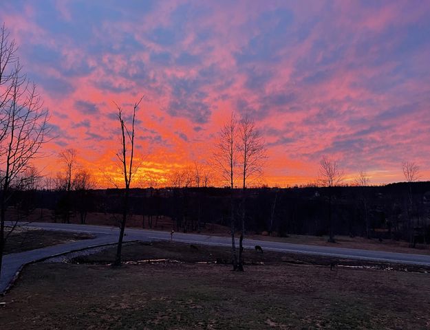 1115 River Bluffs Drive, Jasper, TN 37347