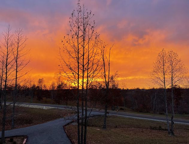 1115 River Bluffs Drive, Jasper, TN 37347