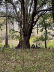 Hiamonee Drive, Tallahassee, FL 32312