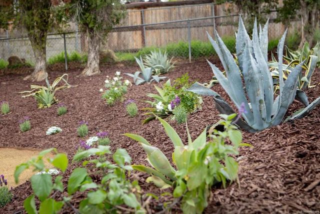 1505 Highgrove Drive, Escondido, CA 92027