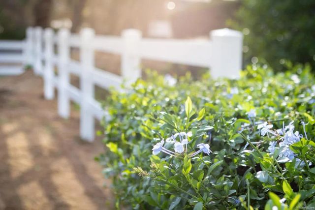 1505 Highgrove Drive, Escondido, CA 92027