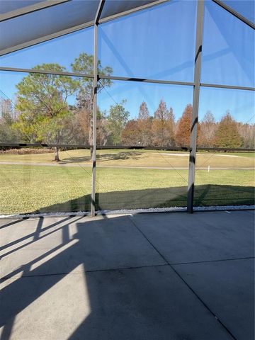 21422 DIAMONTE DRIVE, Land O Lakes, FL 34637