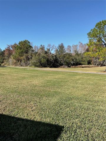 21422 DIAMONTE DRIVE, Land O Lakes, FL 34637