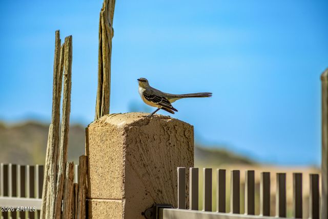 8140 E VISTA CANYON Street, Mesa, AZ 85207