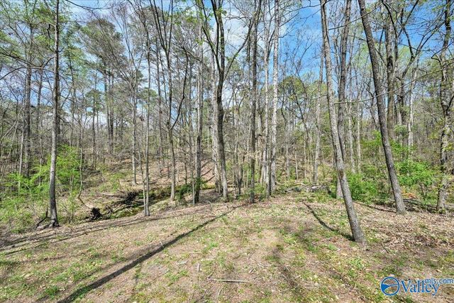 1403 Neighbors Lane SW, Hartselle, AL 35640