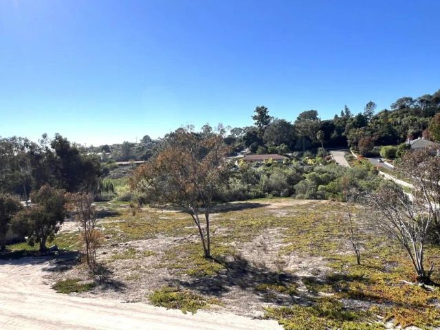 Mays Hollow Lane, Encinitas, CA 92024