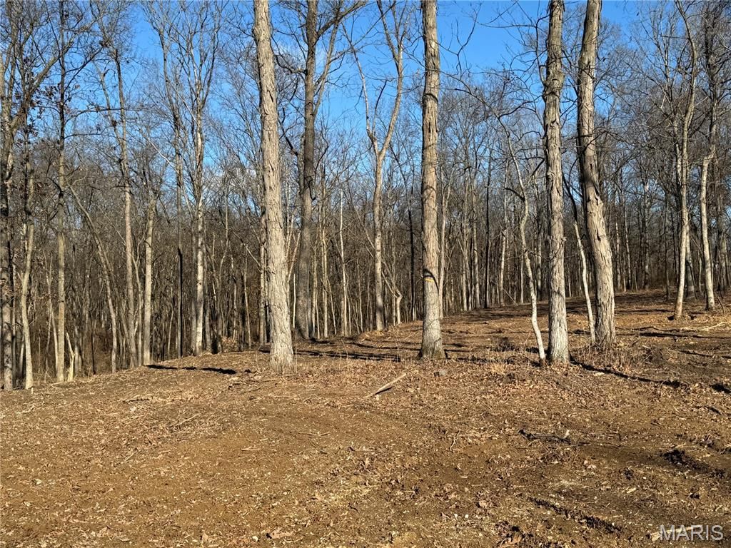 2988 Scott Road, Moscow Mills, MO 63362