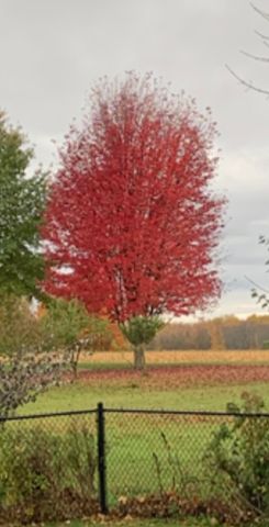 167 Dickson Point Road, Plattsburgh, NY 12901