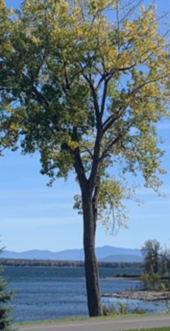 167 Dickson Point Road, Plattsburgh, NY 12901