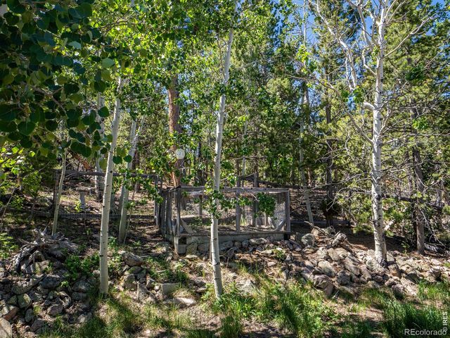1847 Shoshoni Drive, Red Feather Lakes, CO 80545