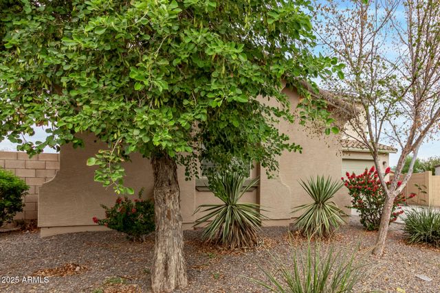 18976 N LARIAT Road, Maricopa, AZ 85138