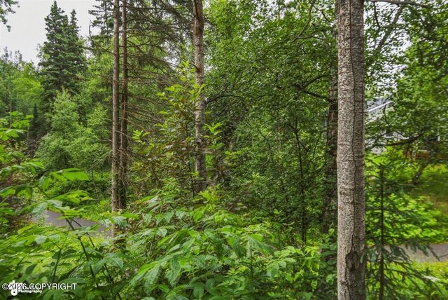 19605 Pribilof Loop, Eagle River, AK 99577
