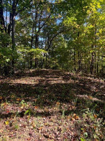 4061 Taylor Mountain RD, Thaxton, VA 24174