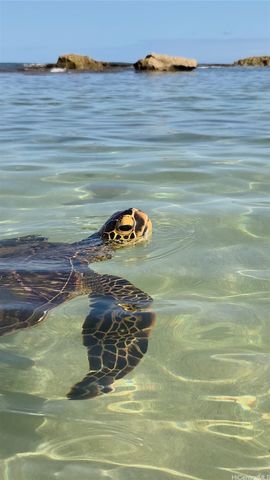 92-1516 Aliinui Drive 1708, Kapolei, HI 96707