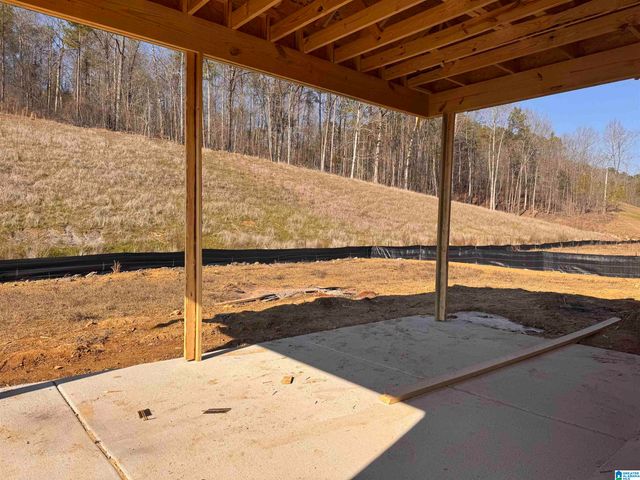 3498 BLACKRIDGE CIRCLE, Hoover, AL 35244