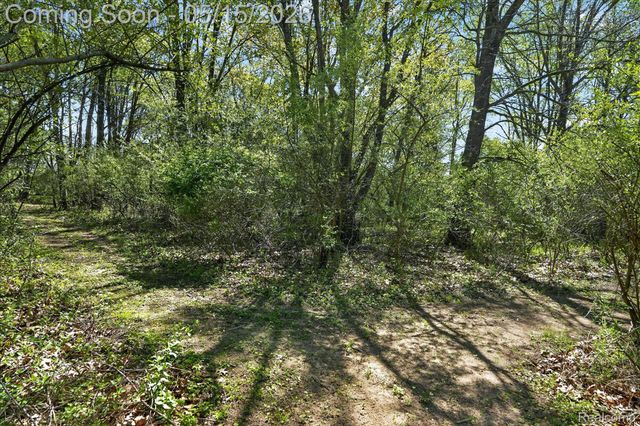8130 Hinchey Road, Putnam Township, MI 48169
