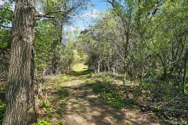 8130 Hinchey Road, Putnam Township, MI 48169