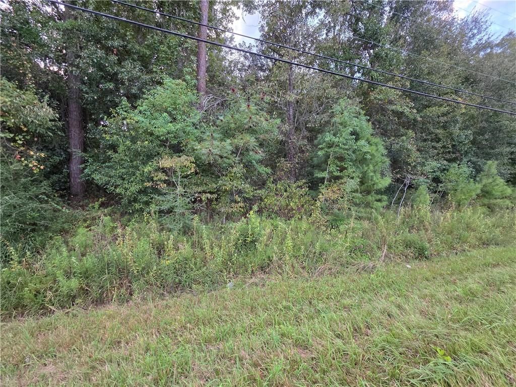 0 Dauphin Island Parkway, Coden, AL 36523 — photo 2