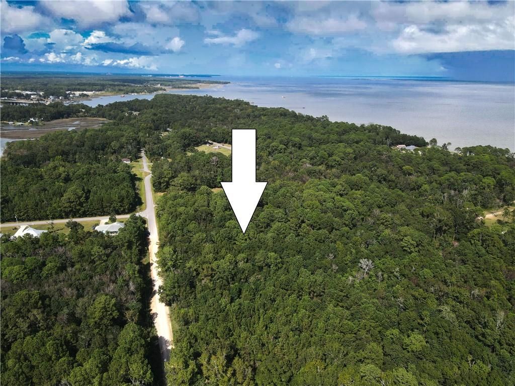0 Dauphin Island Parkway, Coden, AL 36523 — photo 3