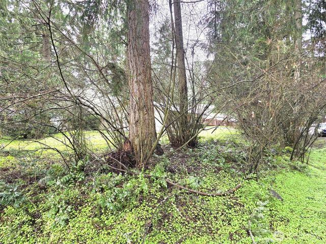 17819 Upland Drive SE, Yelm, WA 98597