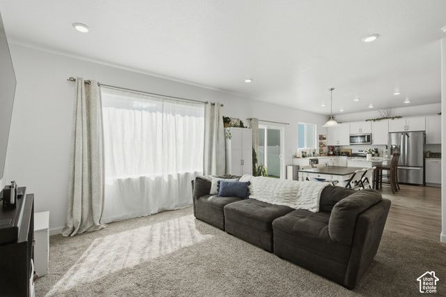 1113 S RAINTREE LN, Santaquin, UT 84655