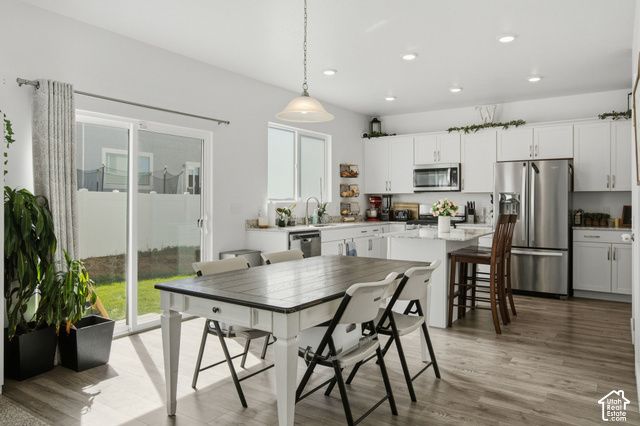 1113 S RAINTREE LN, Santaquin, UT 84655
