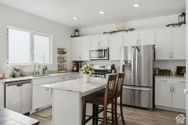 1113 S RAINTREE LN, Santaquin, UT 84655