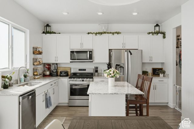 1113 S RAINTREE LN, Santaquin, UT 84655