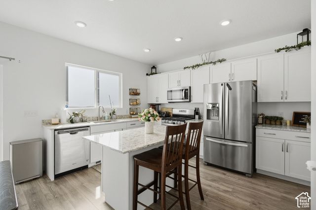 1113 S RAINTREE LN, Santaquin, UT 84655