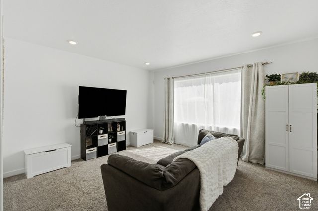 1113 S RAINTREE LN, Santaquin, UT 84655