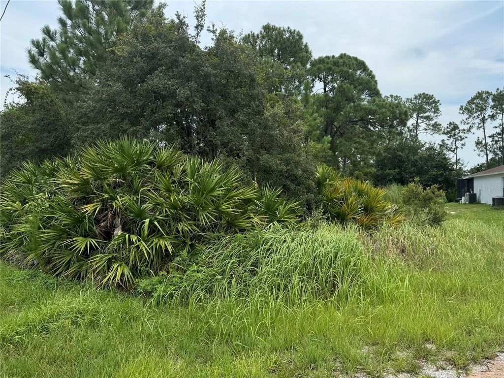 1238 APOPKA LANE, Kissimmee, FL 34759