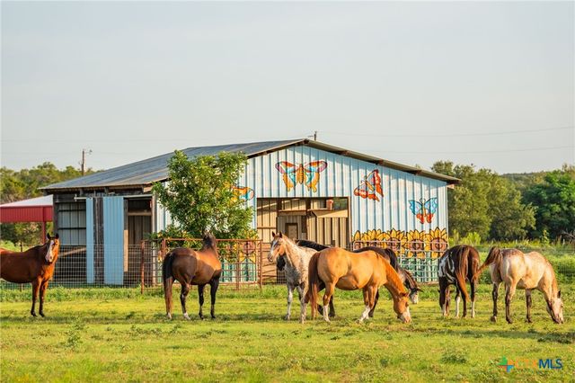 2055 County Road 284, Liberty Hill, TX 78642