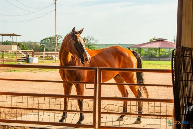 2055 County Road 284, Liberty Hill, TX 78642