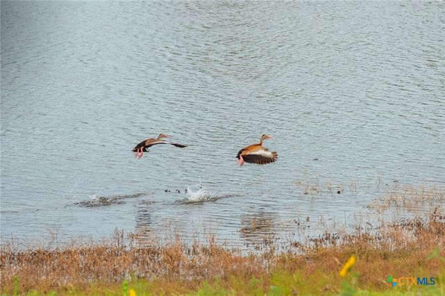 2055 County Road 284, Liberty Hill, TX 78642