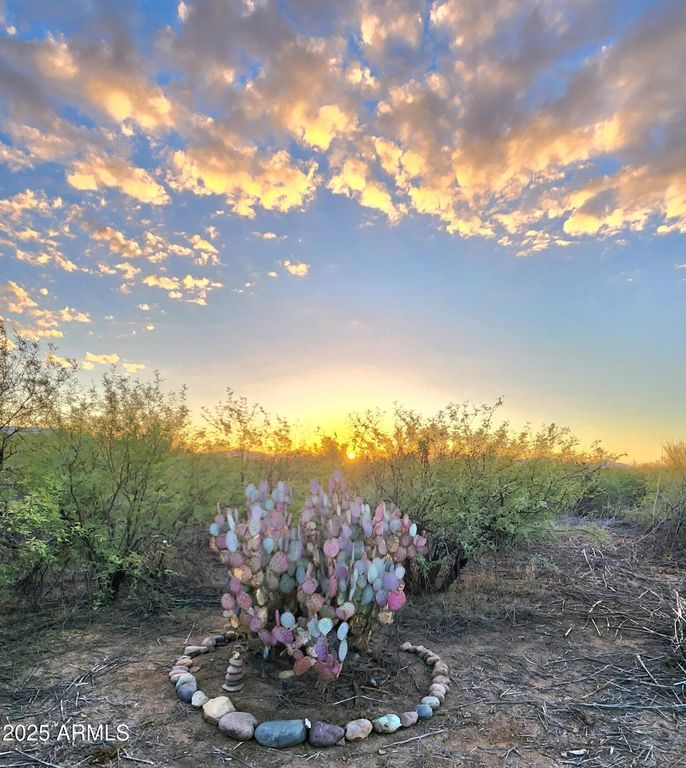Image 1 of property listing at 13122 W DUSTY FLAT Place -, Tucson, AZ 85735