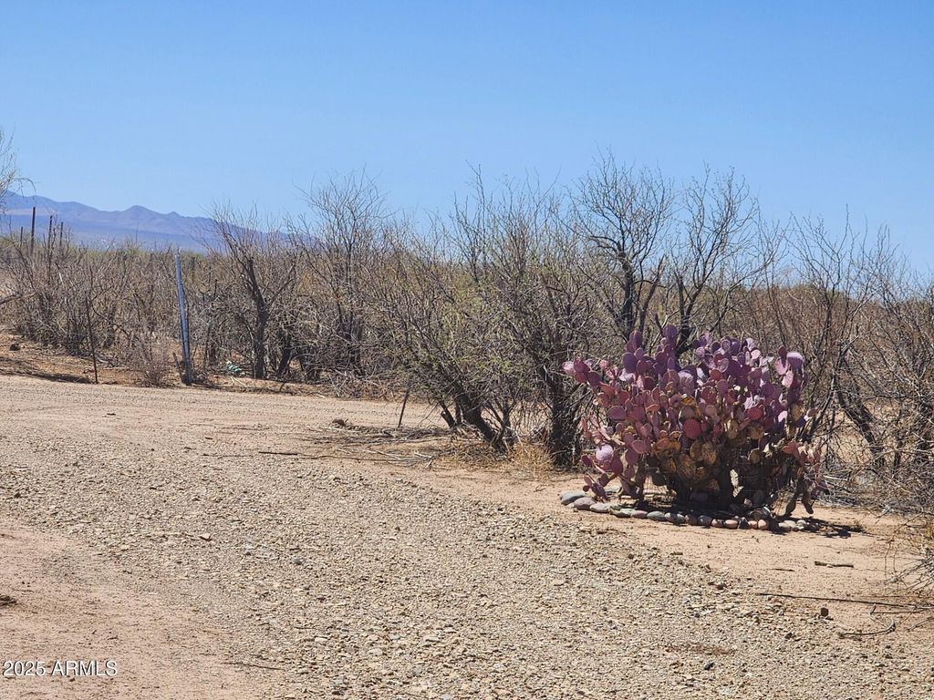 Image 13 of property listing at 13122 W DUSTY FLAT Place -, Tucson, AZ 85735