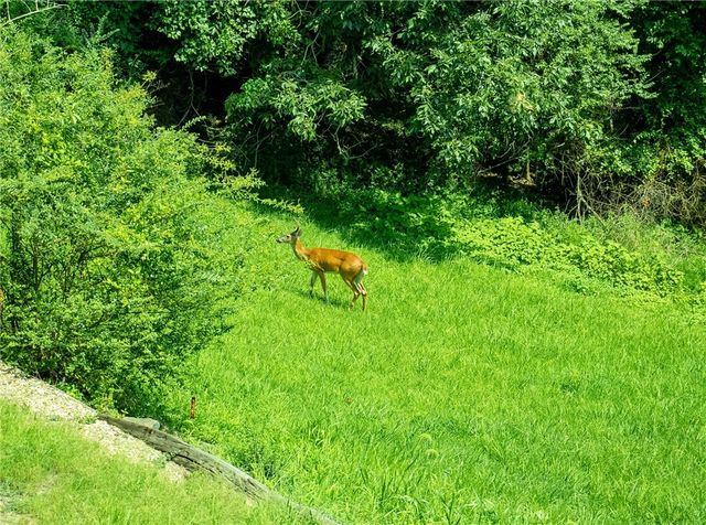 14898 Dutchmans Drive, Rogers, AR 72756