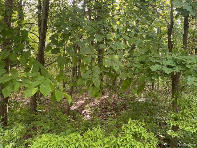 08 Tipsico Lake, Highland, MI 48357