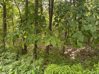08 Tipsico Lake, Highland, MI 48357