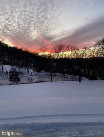 1729 BUCK MOUNTAIN RD, Bentonville, VA 22610
