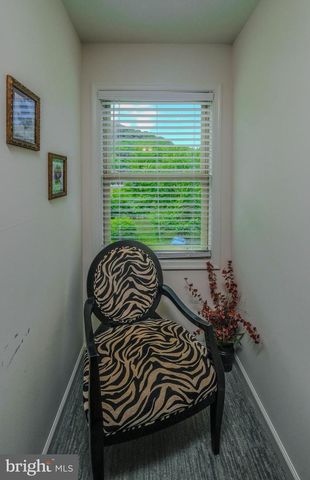 1729 BUCK MOUNTAIN RD, Bentonville, VA 22610