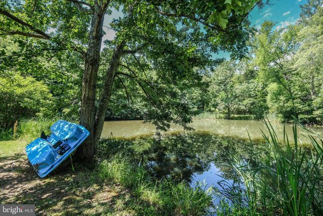 1729 BUCK MOUNTAIN RD, Bentonville, VA 22610
