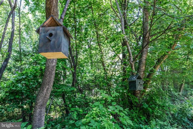 1729 BUCK MOUNTAIN RD, Bentonville, VA 22610