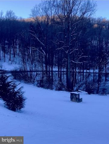 1729 BUCK MOUNTAIN RD, Bentonville, VA 22610