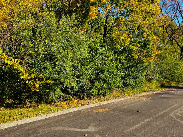 Lot 4 Niles Avenue, Addison, IL 60101