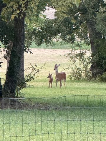 9748 County Road 1200, Athens, TX 75751