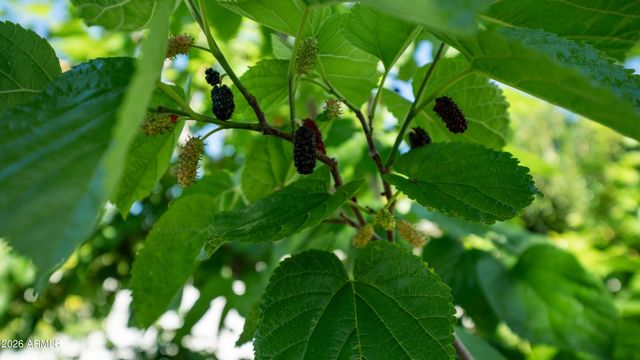 637 S COPPER Drive, Apache Junction, AZ 85120