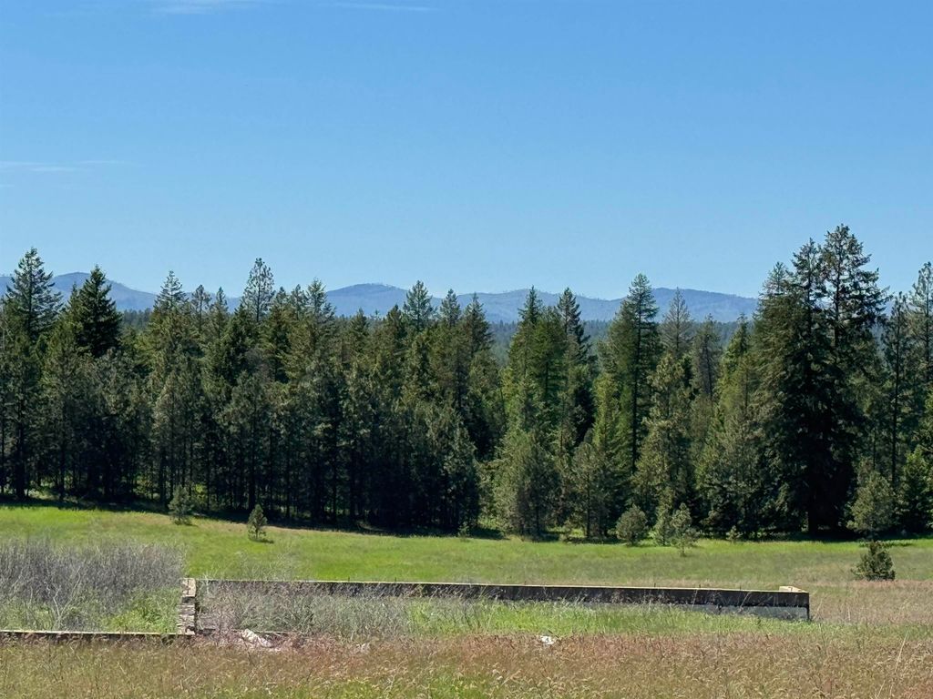 4091 Jepsen Rd, Springdale, WA 99173 photo 3