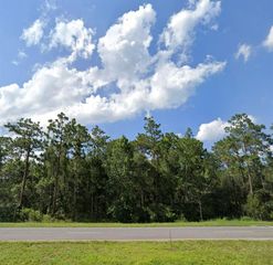 23775 E COLONIAL DRIVE, Christmas, FL 32709