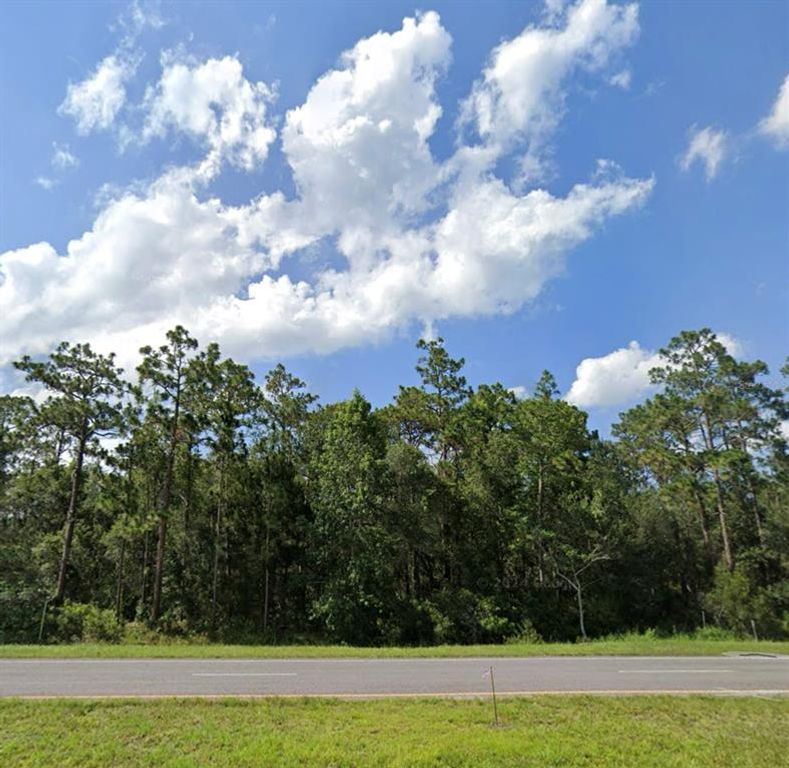 23775 E COLONIAL DRIVE, Christmas, FL 32709